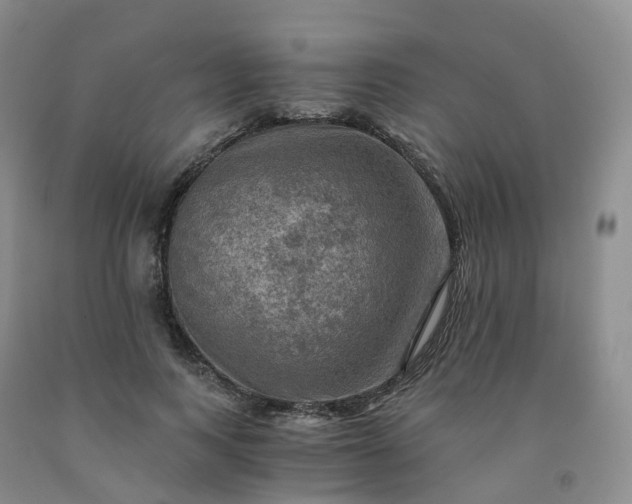 X0000092000743200709201508