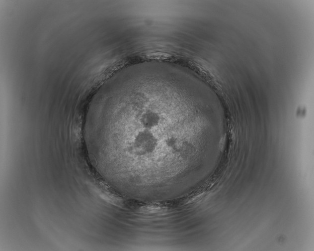 X0000092000745200709201508