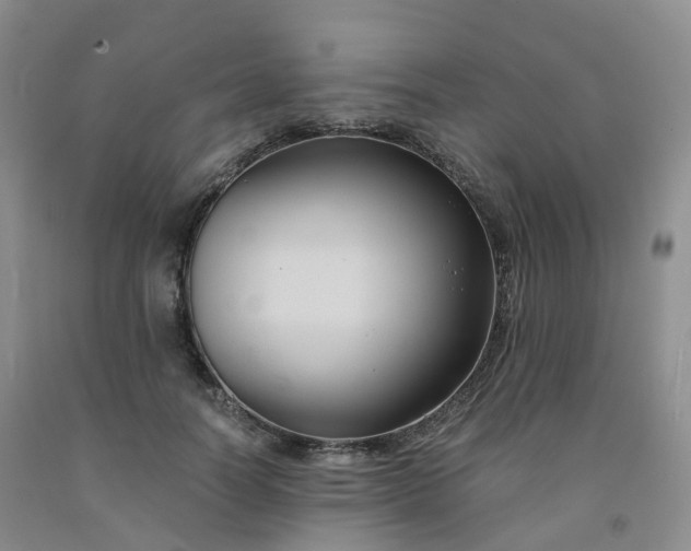 X0000092000746200709201508