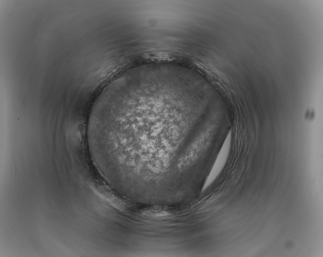 X0000092000747200709201508