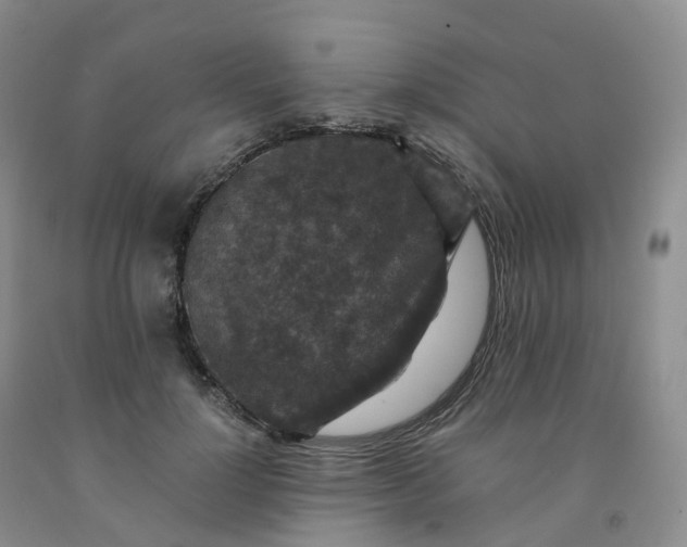 X0000092000748200709201508