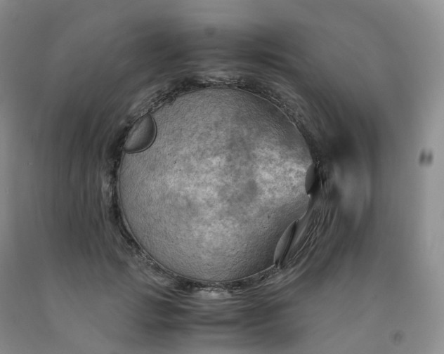 X0000092000749200709201508