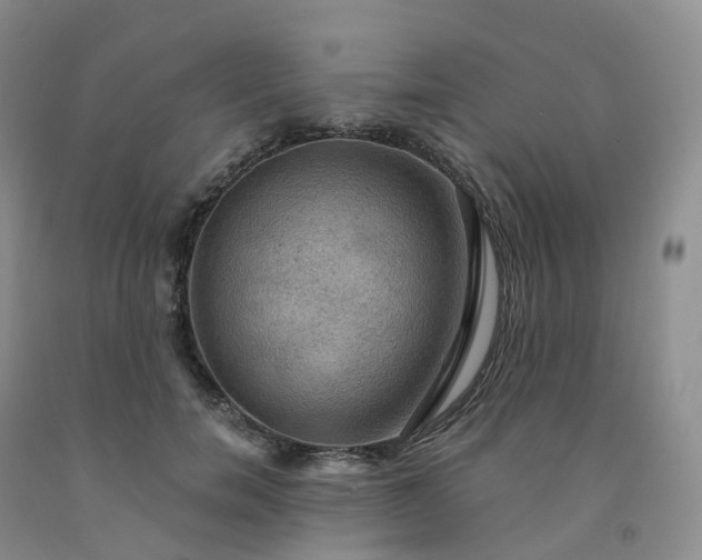 X0000092000750200709201508