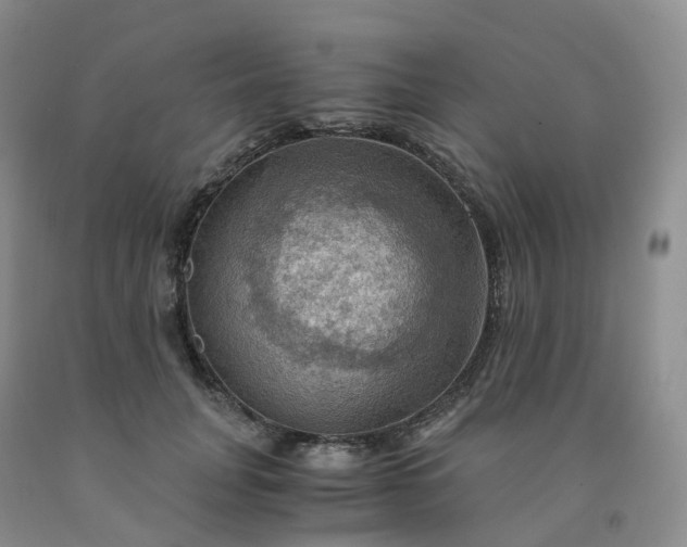 X0000092000751200709201508