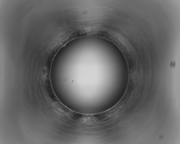 X0000092000752200709201509