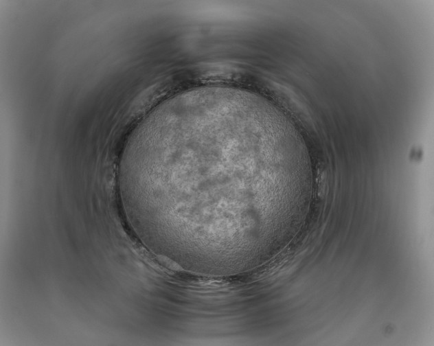 X0000092000753200709201509