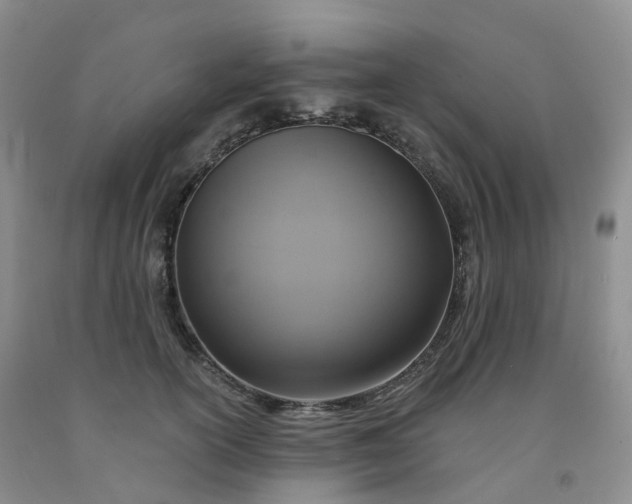 X0000092000754200709201509