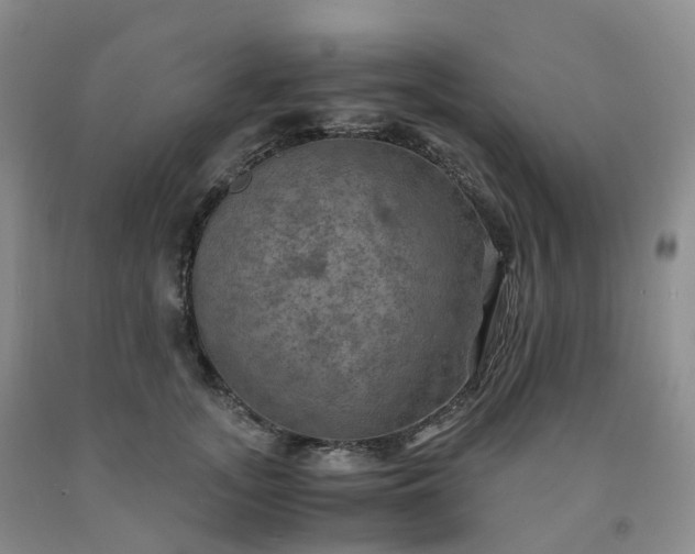 X0000092000755200709201509