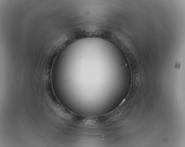 X0000092000756200709201509