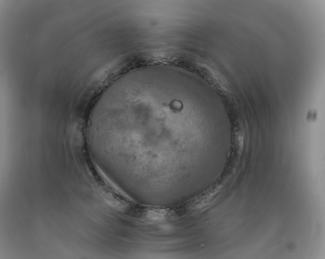 X0000092000757200709201509