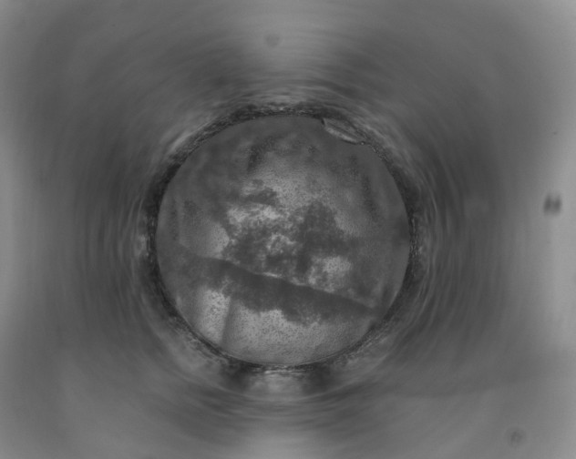 X0000092000758200709201509