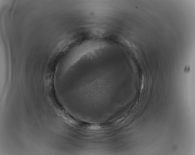 X0000092000759200709201509