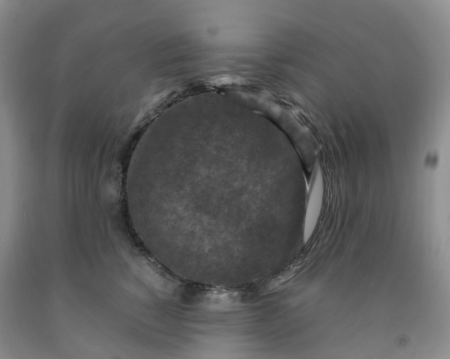 X0000092000760200709201509