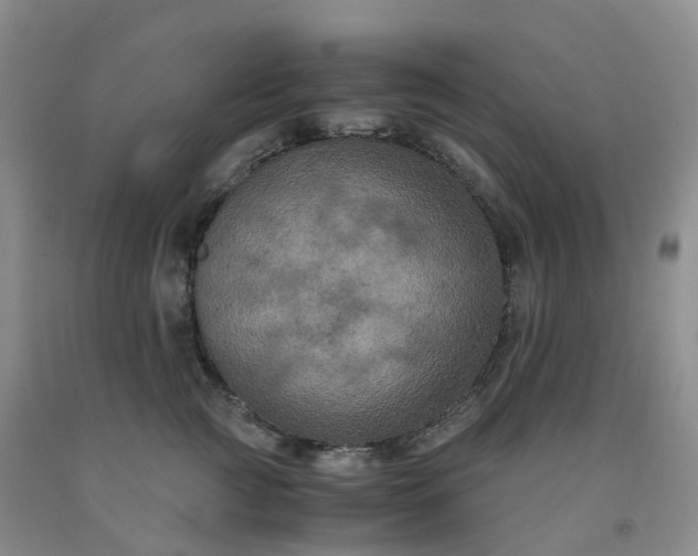 X0000092000761200709201509