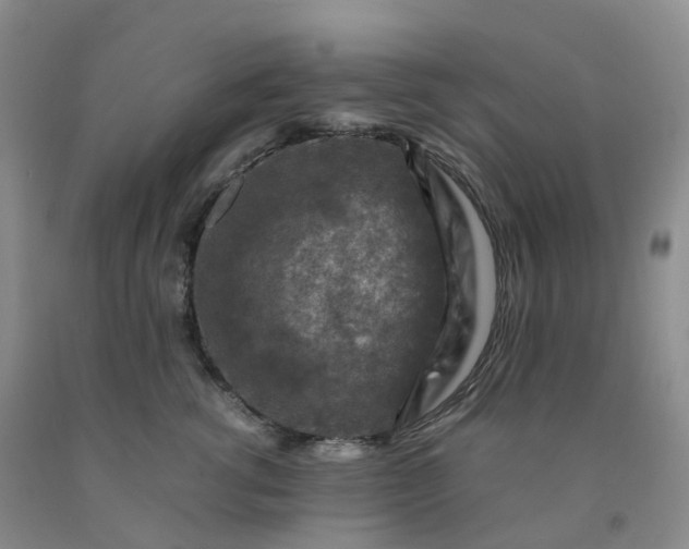 X0000092000762200709201509