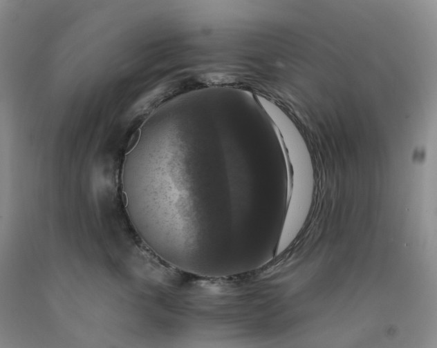 X0000092000763200709201509