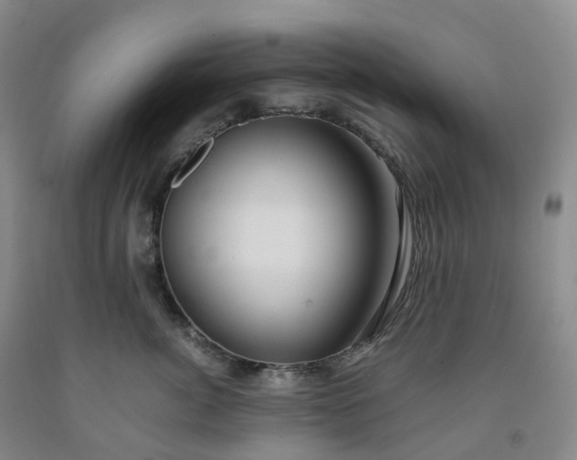 X0000092000764200709201509