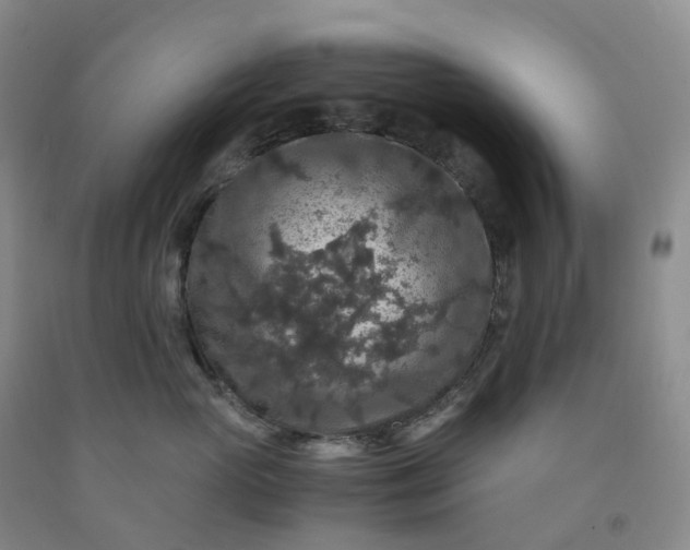 X0000092000765200709201509