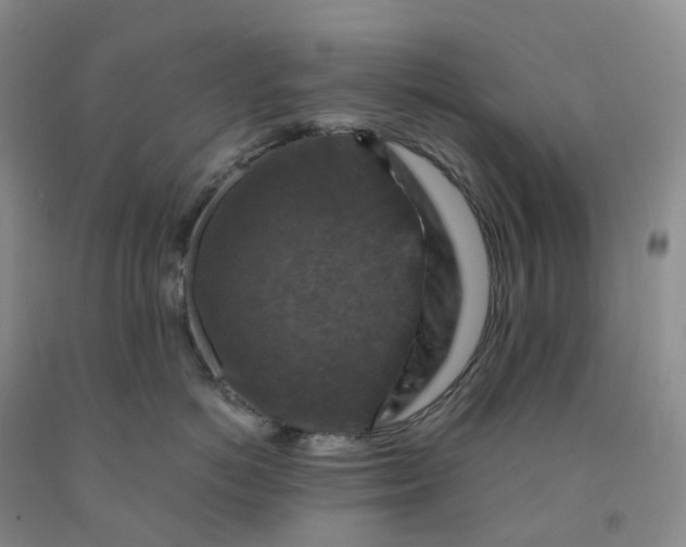 X0000092000766200709201509