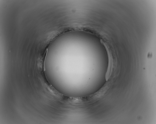 X0000092000768200709201509