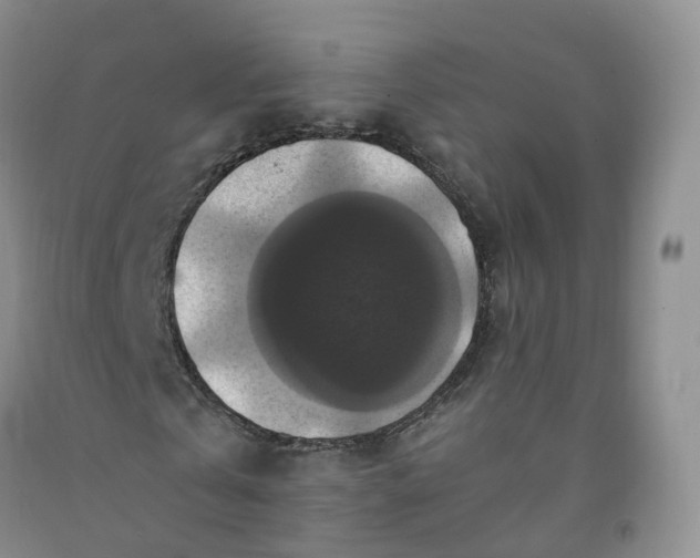 X0000092000769200709201508