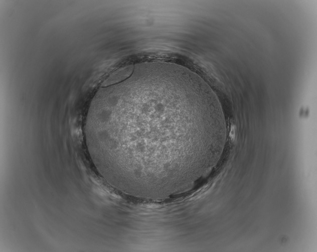 X0000092000771200709201508