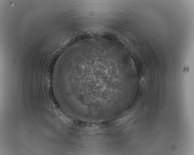 X0000092000772200709201508