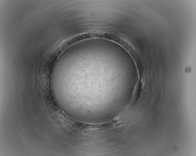 X0000092000773200709201508