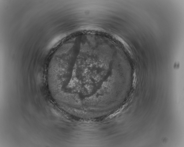 X0000092000775200709201508