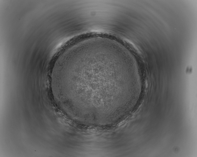 X0000092000776200709201508