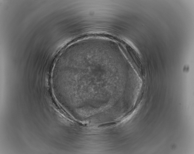 X0000092000777200709201508