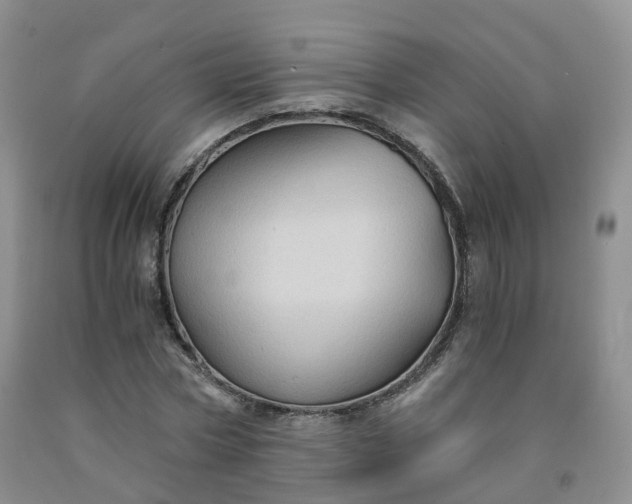 X0000092000778200709201508