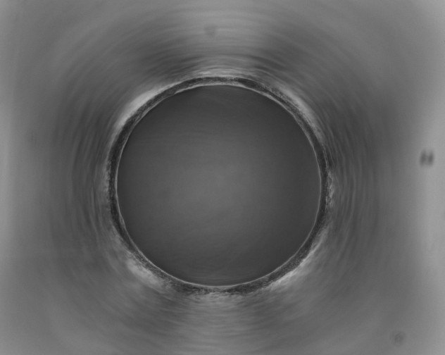 X0000092000779200709201508