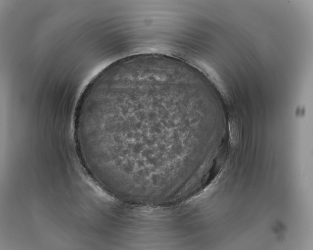 X0000092000780200709201508