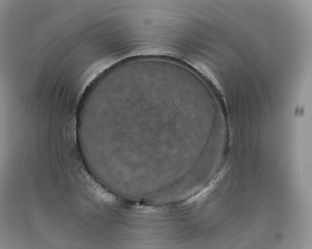 X0000092000781200709201508