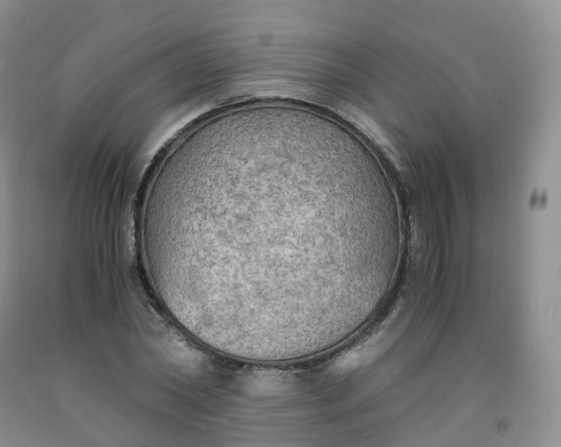 X0000092000782200709201508