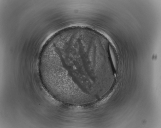 X0000092000783200709201508