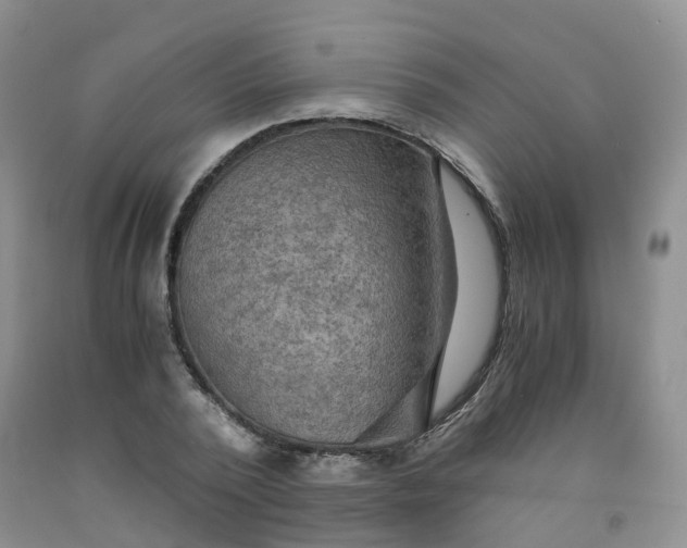 X0000092000784200709201508