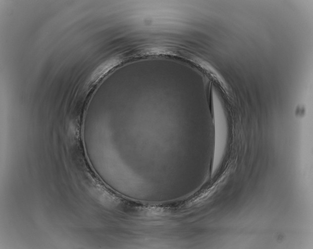 X0000092000785200709201508