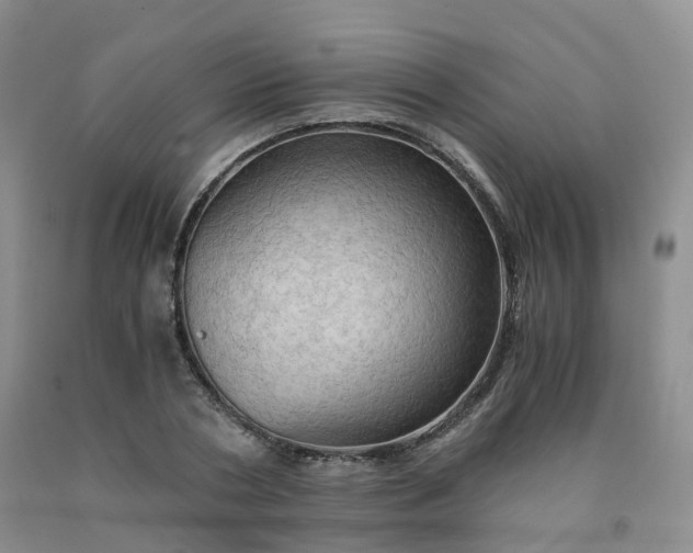 X0000092000786200709201508