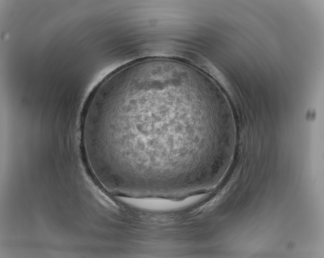 X0000092000787200709201508