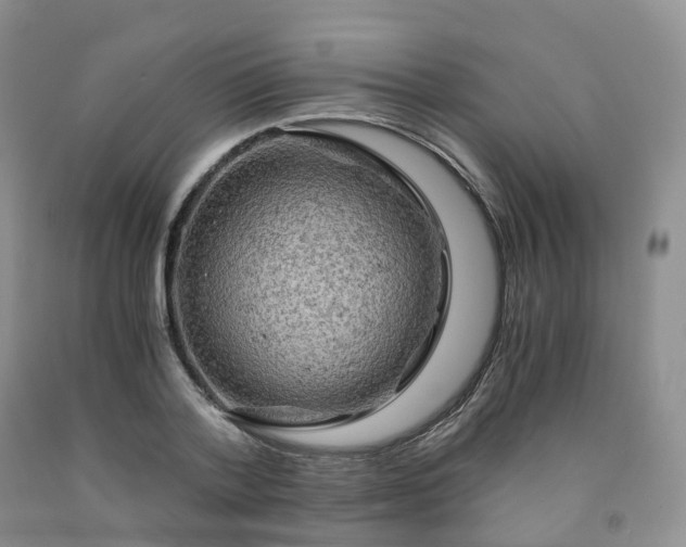 X0000092000788200709201508