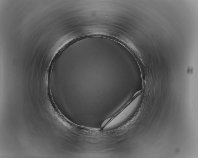 X0000092000790200709201508