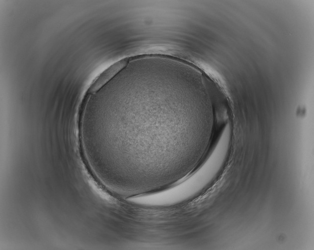 X0000092000792200709201508