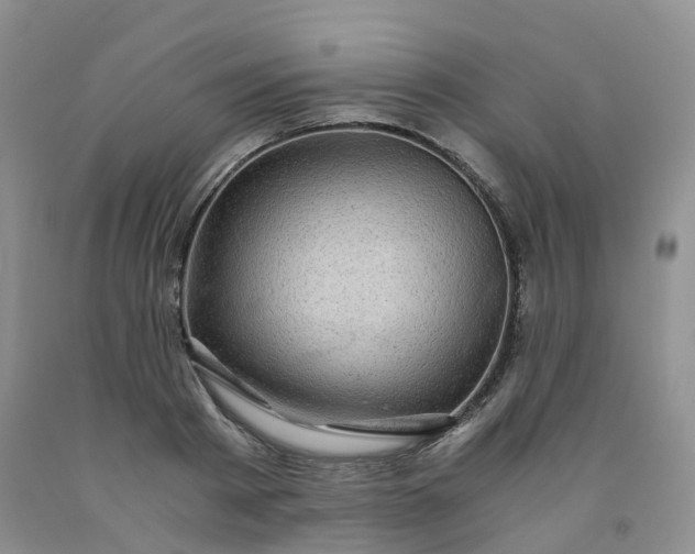 X0000092000793200709201508