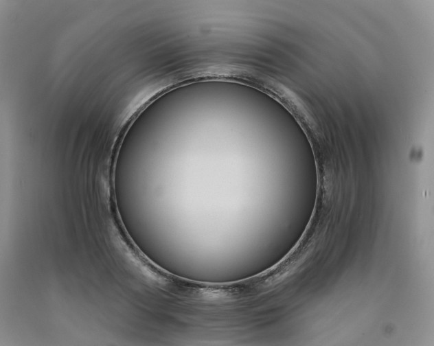 X0000092000794200709201508