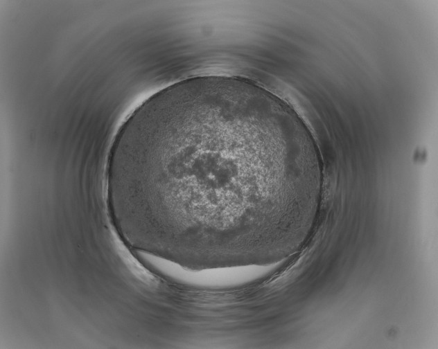 X0000092000795200709201508