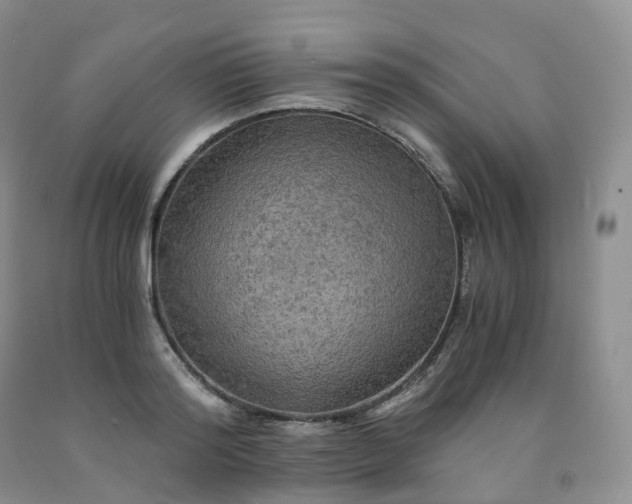 X0000092000796200709201508