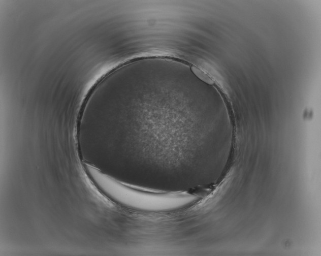 X0000092000797200709201508