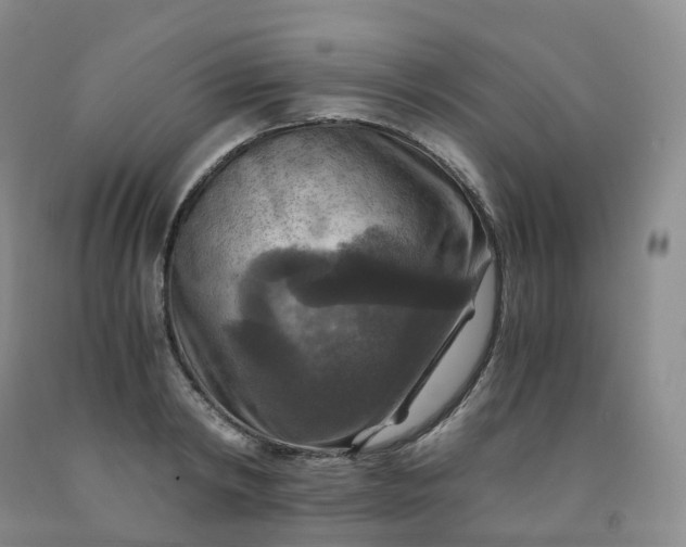 X0000092000798200709201508